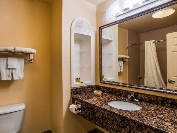 Best Western Plus Barsana Hotel & Suites : photo 2 de la chambre chambre 2 lits queen-size - non-fumeurs