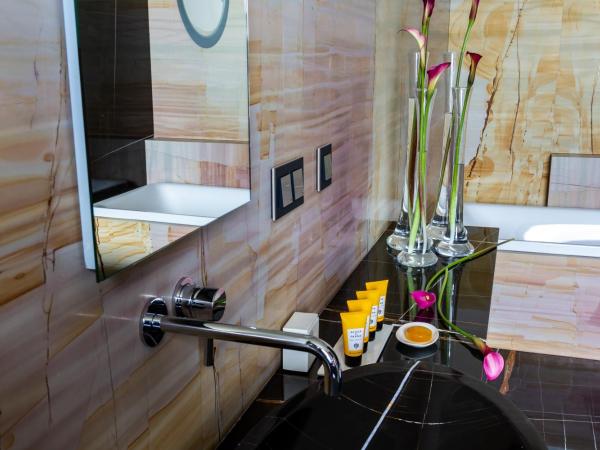 Hotel Warszawa : photo 1 de la chambre penthouse