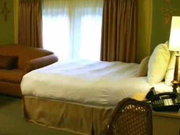 Victoria's Mansion Guest House : photo 7 de la chambre studio