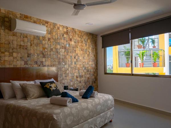 Sunset Isla Mujeres : photo 4 de la chambre appartement 1 chambre