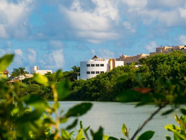Sunset Isla Mujeres : photo 10 de la chambre appartement 1 chambre