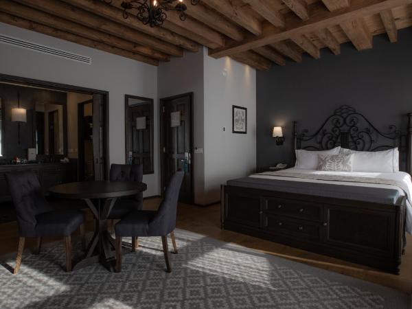 Zocalo Central & Rooftop Mexico City : photo 8 de la chambre suite junior - vue sur ville