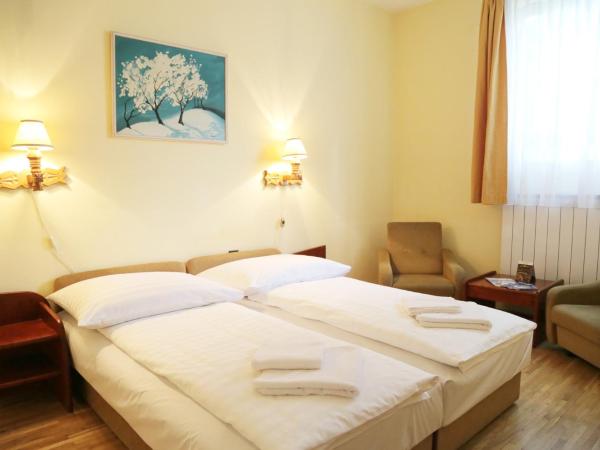 Hotel Bara Gellért : photo 2 de la chambre chambre double ou lits jumeaux