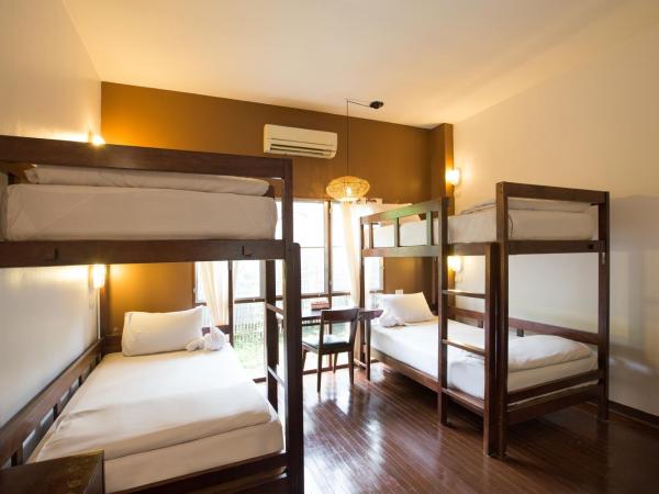 Eco Resort Chiang Mai : photo 6 de la chambre lits superposs en dortoir avec salle de bains commune (2 adultes)