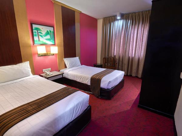 Palace Hotel : photo 1 de la chambre chambre lits jumeaux deluxe