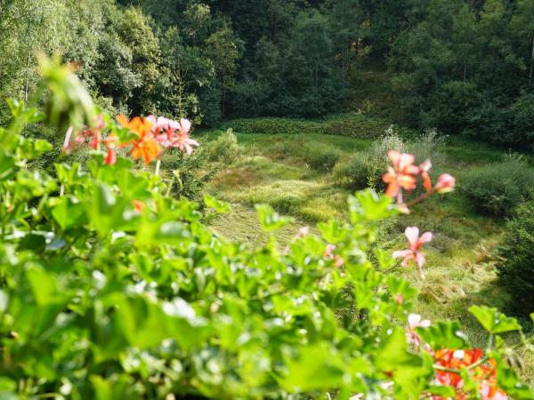 Jezírko lesní restaurant & penzion : photo 5 de la chambre chambre familiale avec balcon