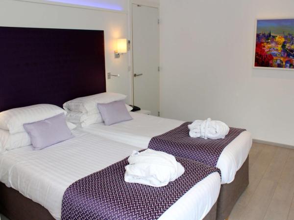Best Western Plus Hotel Carlton Annecy : photo 3 de la chambre chambre lits jumeaux exécutive