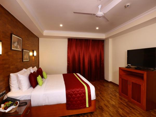 JVK Park Hotel : photo 1 de la chambre suite