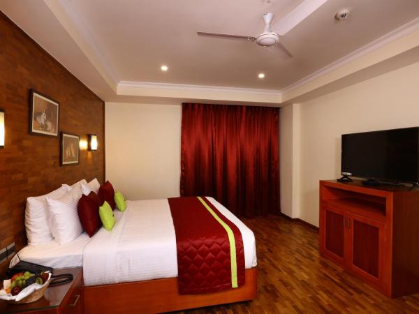 JVK Park Hotel : photo 3 de la chambre suite - vue sur ville