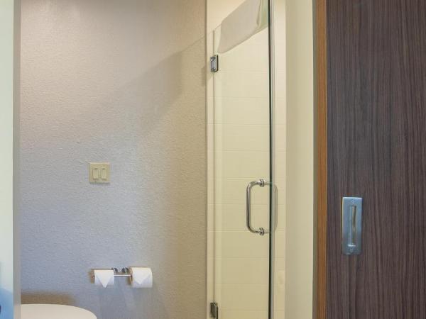 Holiday Inn Express New Orleans Downtown, an IHG Hotel : photo 3 de la chambre chambre standard