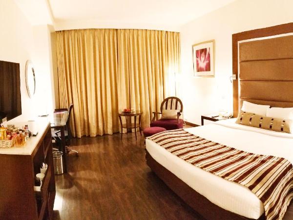 Royal Orchid Central, Pune : photo 5 de la chambre chambre club