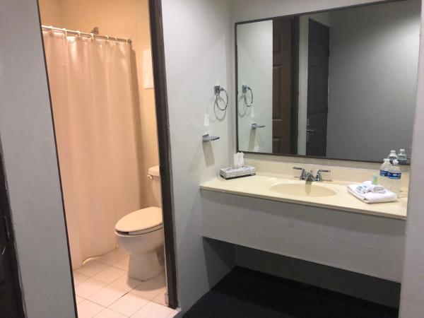 Hotel Plaza del Arco - Monterrey : photo 6 de la chambre suite junior