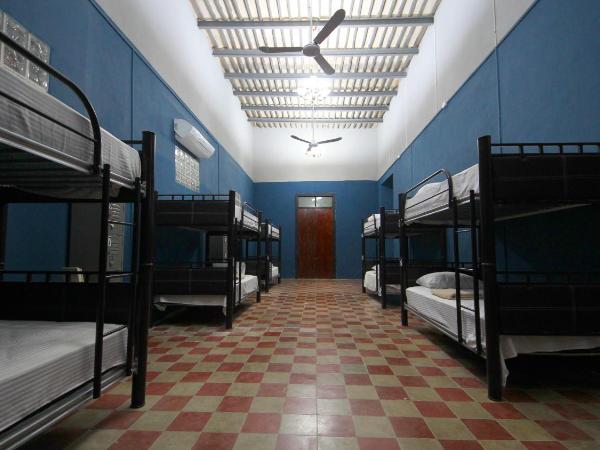 Hostal Xiinbal : photo 2 de la chambre lit superposé dans dortoir mixte