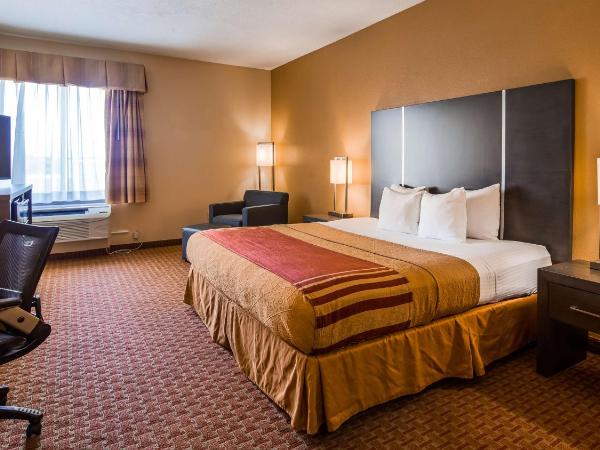 Best Western Plus North Houston Inn & Suites : photo 3 de la chambre chambre lit king-size - accessible aux personnes à mobilité réduite