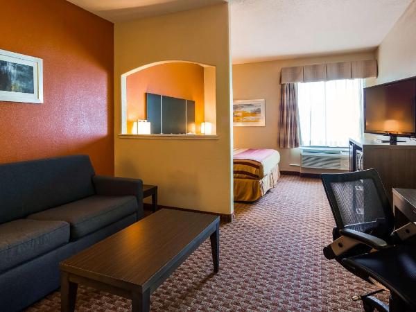 Best Western Plus North Houston Inn & Suites : photo 6 de la chambre suite lit king-size - accessible aux personnes à mobilité réduite