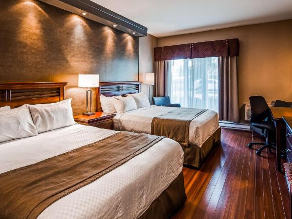 Best Western Premier Hotel Aristocrate : photo 1 de la chambre chambre avec 2 grands lits queen-size