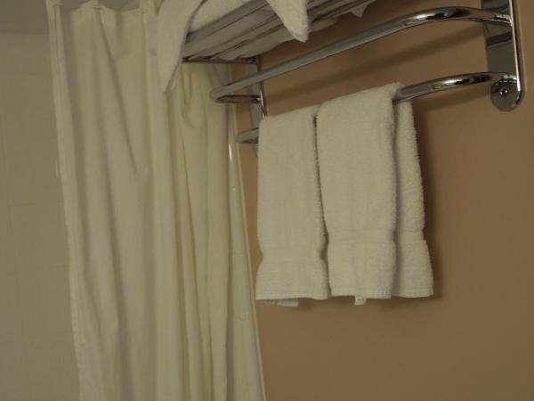 Alamar Resort Inn : photo 8 de la chambre chambre avec 2 grands lits queen-size