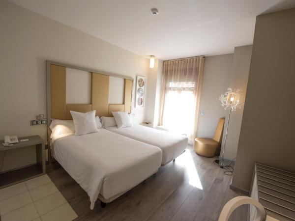 Hotel & Spa Princesa Munia : photo 4 de la chambre chambre double ou lits jumeaux exécutive