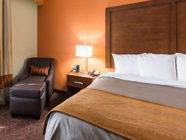 Econo Lodge Inn & Suites East Houston I-10 : photo 1 de la chambre chambre lit king-size pour personnes à mobilité réduite - non-fumeurs