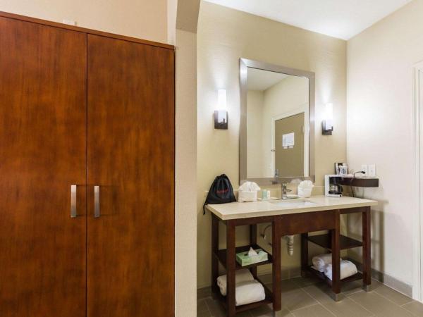 Econo Lodge Inn & Suites East Houston I-10 : photo 7 de la chambre suite lit king-size avec canapé-lit - non-fumeurs