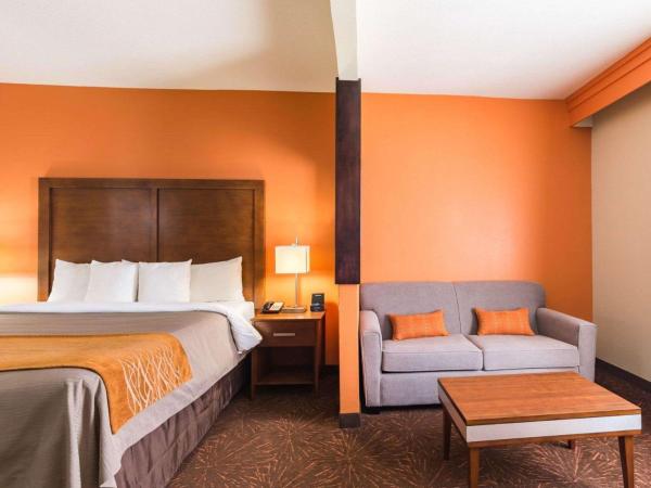 Econo Lodge Inn & Suites East Houston I-10 : photo 6 de la chambre suite lit king-size avec canapé-lit - non-fumeurs