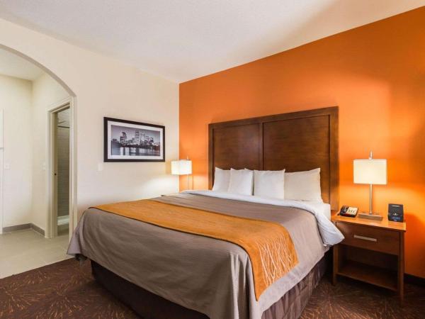 Econo Lodge Inn & Suites East Houston I-10 : photo 5 de la chambre suite lit king-size avec canapé-lit - non-fumeurs