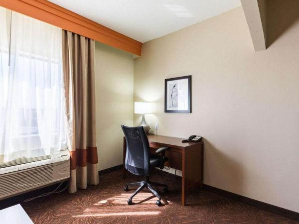 Econo Lodge Inn & Suites East Houston I-10 : photo 2 de la chambre suite lit king-size avec canapé-lit - non-fumeurs