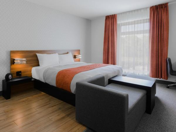 Littoral - Hôtel & Spa : photo 2 de la chambre chambre lit queen-size