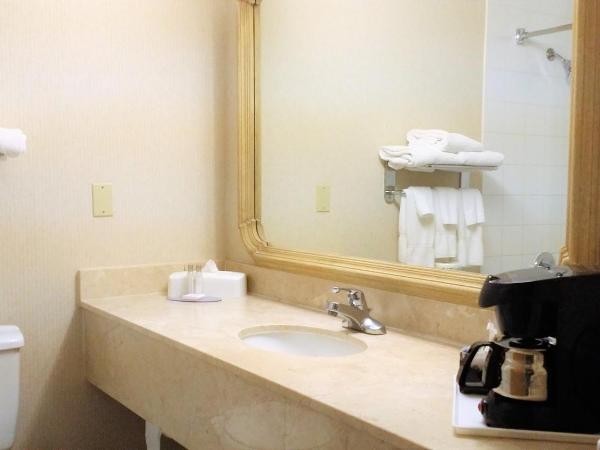 Travelodge Hotel by Wyndham Vancouver Airport : photo 2 de la chambre chambre lit king-size - non-fumeurs