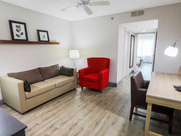 Country Inn & Suites by Radisson, Myrtle Beach, SC : photo 1 de la chambre suite 1 chambre lit king-size - non-fumeurs