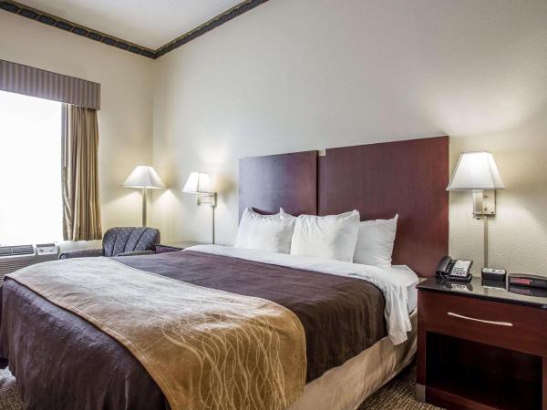 Comfort Inn & Suites FtJackson Maingate : photo 2 de la chambre chambre lit king-size - non-fumeurs