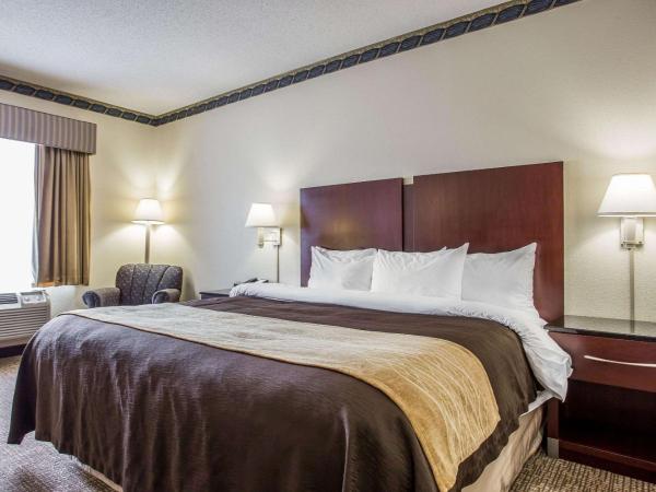 Comfort Inn & Suites FtJackson Maingate : photo 3 de la chambre chambre lit king-size - non-fumeurs