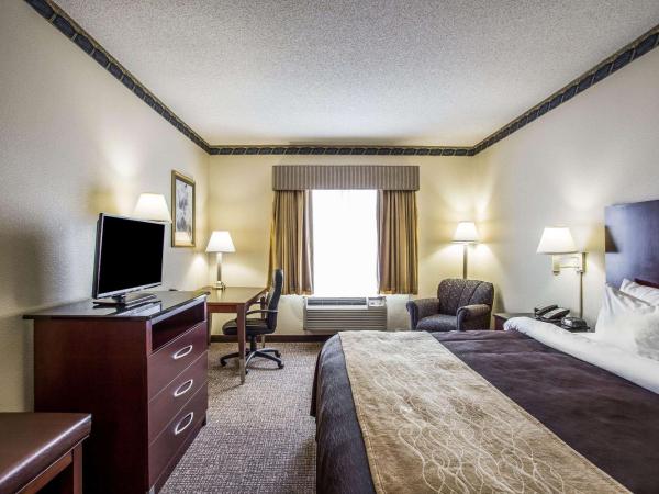 Comfort Inn & Suites FtJackson Maingate : photo 4 de la chambre chambre lit king-size - non-fumeurs