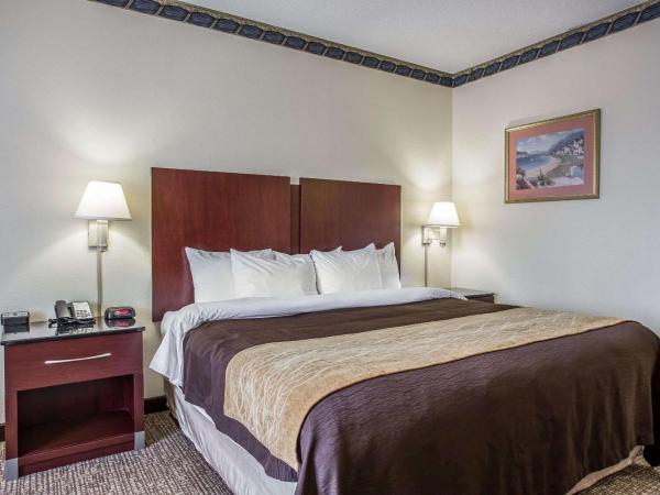 Comfort Inn & Suites FtJackson Maingate : photo 5 de la chambre chambre lit king-size - non-fumeurs