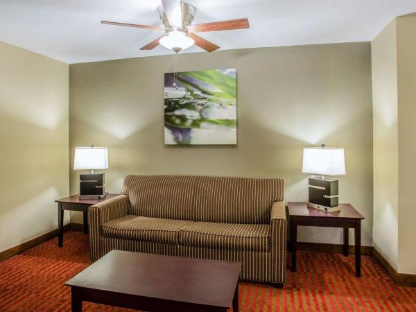 Quality Suites Nashville Airport : photo 7 de la chambre suite lit king-size – non-fumeurs