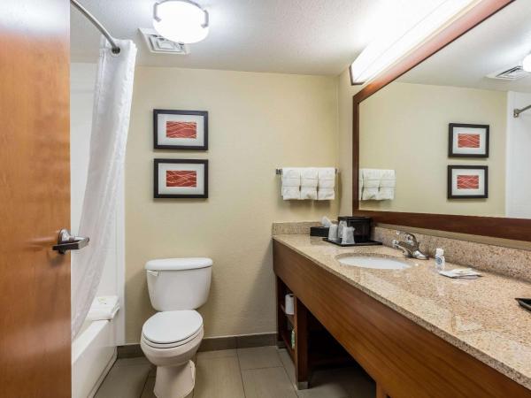 Comfort Inn & Suites Airport-American Way : photo 1 de la chambre chambre lit king-size - non-fumeurs