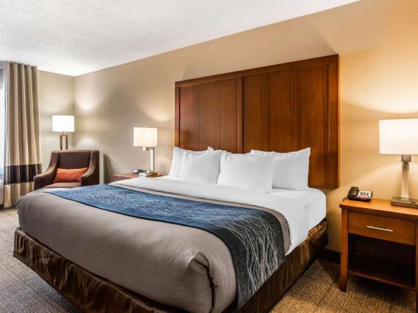 Comfort Inn & Suites Airport-American Way : photo 2 de la chambre chambre lit king-size - non-fumeurs
