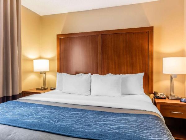 Comfort Inn & Suites Airport-American Way : photo 1 de la chambre suite lit king-size