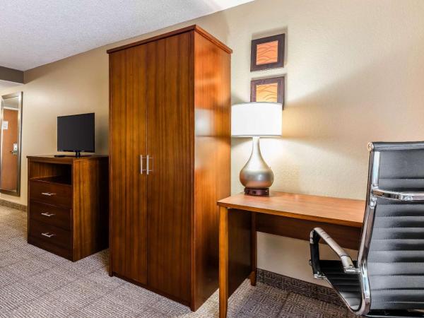 Comfort Inn & Suites Airport-American Way : photo 3 de la chambre chambre lit king-size - non-fumeurs