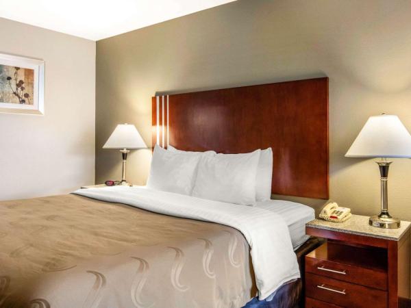 Quality Inn Airport I-240 : photo 1 de la chambre chambre lit king-size - fumeurs 