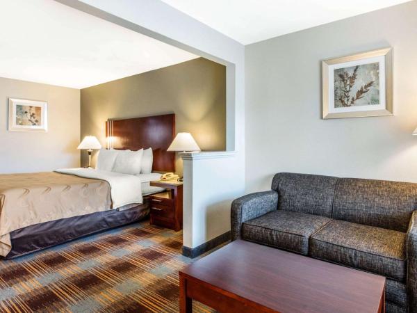 Quality Inn Airport I-240 : photo 3 de la chambre chambre lit king-size - fumeurs 