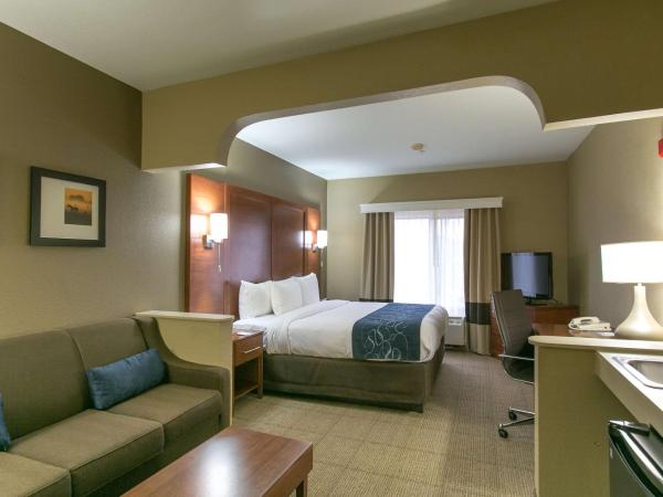 Comfort Suites Austin NW Lakeline : photo 1 de la chambre suite lit king-size – non-fumeurs