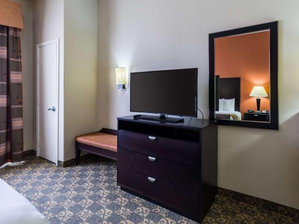 Comfort Suites Westchase Houston Energy Corridor : photo 7 de la chambre suite lit king-size – non-fumeurs