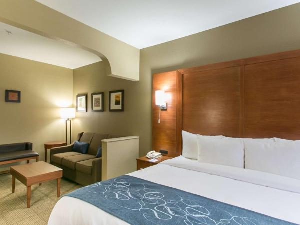 Comfort Suites Austin NW Lakeline : photo 2 de la chambre suite lit king-size – non-fumeurs