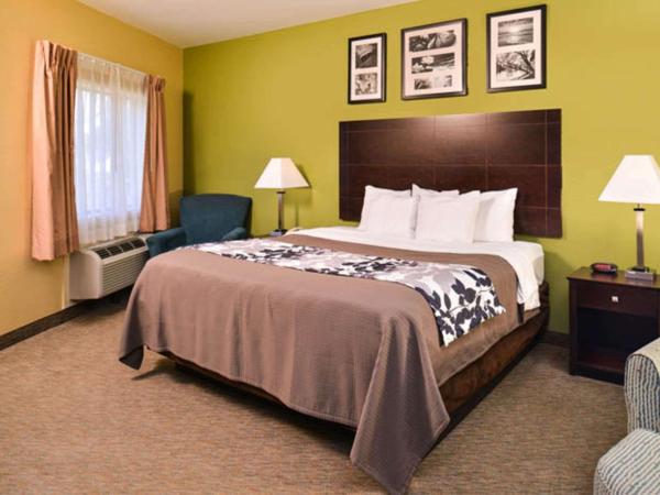 Sleep Inn and Suites Downtown Houston : photo 1 de la chambre suite avec canapé-lit