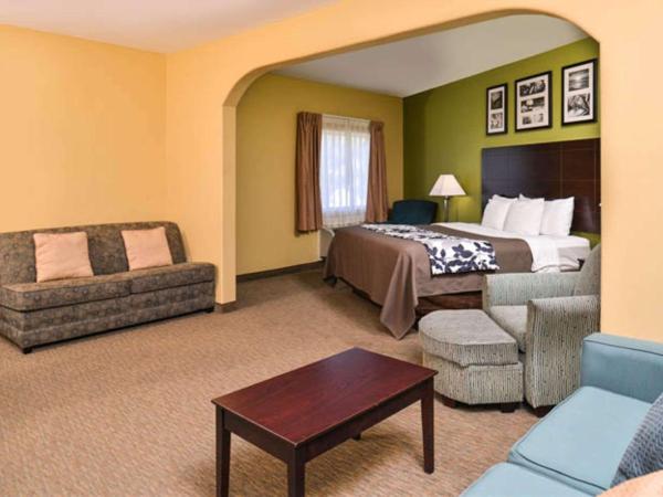 Sleep Inn and Suites Downtown Houston : photo 3 de la chambre suite avec canapé-lit