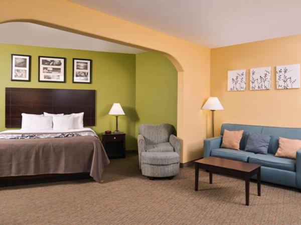 Sleep Inn and Suites Downtown Houston : photo 4 de la chambre suite avec canapé-lit