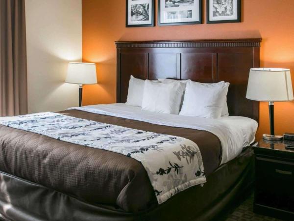 Sleep Inn & Suites Hwy 290-NW Freeway : photo 1 de la chambre suite lit king-size – non-fumeurs