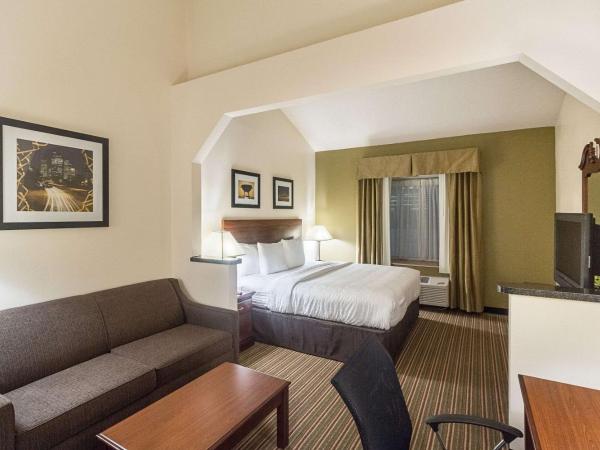 Quality Inn & Suites West Chase : photo 3 de la chambre chambre lit king-size standard - non-fumeurs