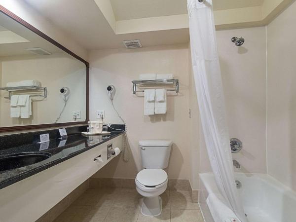 Quality Inn & Suites West Chase : photo 5 de la chambre chambre lit king-size standard - non-fumeurs